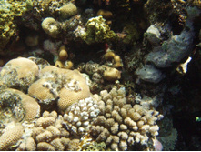 1789������ 004 (7).jpg