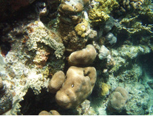 1789������ 004 (8).jpg