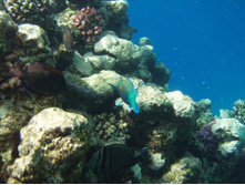 1789������ 004 (16).jpg