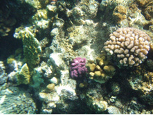 1789������ 004 (17).jpg