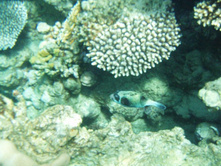 1789������ 004 (18).jpg