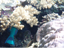 1789������ 004 (22).jpg