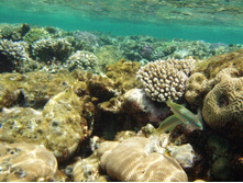 1789������ 004 (23).jpg