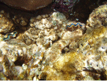 1789������ 004 (24).jpg