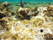 1789������ 004 (25).jpg