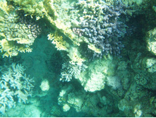 1789������ 004 (26).jpg