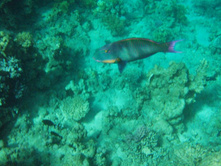 1789������ 004 (27).jpg