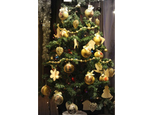 ���� �����.jpg