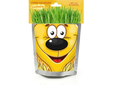 ������ ������� 120�.+%