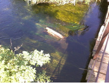 2012-07-31 10.56.56.jpg