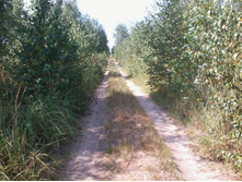 2012-07-31 11.30.13.jpg