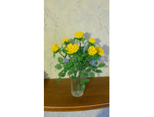 ����� DSCN1984.JPG