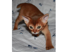 ����������� 1125.jpg