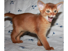 ����������� 1131.jpg