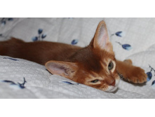 ����������� 1151.jpg