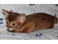 ����������� 1161.jpg