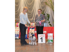 DSC_0523������� ���.jpg