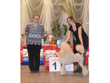 DSC_0526������ �������.jpg