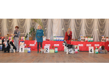 DSC_0541���� ����.jpg