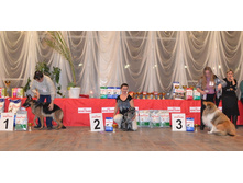 DSC_0589���� 1 ��.jpg