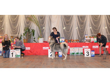 DSC_0634���� 5 ��.jpg