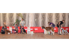 DSC_0747������� ����.jpg