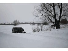 ������.gif