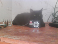 21.03.2010 22:33:38
