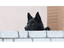 ��� ����� ���... �� �������..