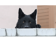 ��� ���?