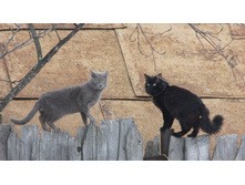 ���� ���������. ��� ��� ��������!