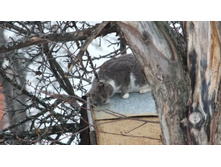 ��-�-�! �� ��� �� ���, ����������?