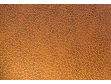 ���� �����.jpg