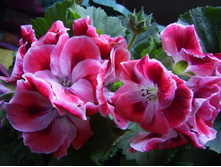 ���������! ������� ����!