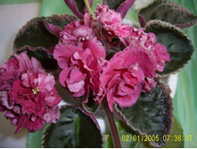 ������ \\\\�����// �����Σ���� ����-25