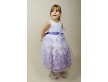 ������  ���.8021  1581.25.jpg