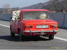 �� � ������ ����.jpg