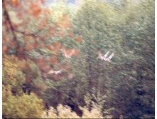 ������� ����..:-(