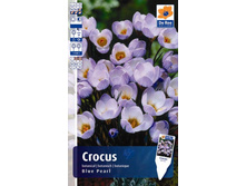 4�.-CROC-BLUE-PEARL.jpg