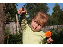 ����������