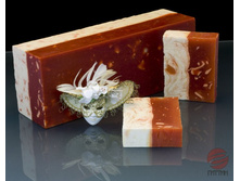 «��*�����» � ��*��� ��*���� � ��*���� ��*���