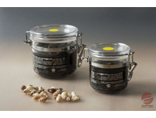 ���*����� ���*�� ��� ����� � ��������*������ ���� (� ������� ������ �������� ������)