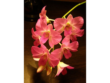 ��� �� �������, ��� �������