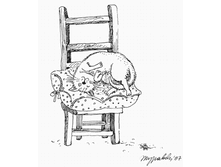 02 �������� ������������ ��������� ����