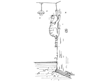 05 ����������� �� �����