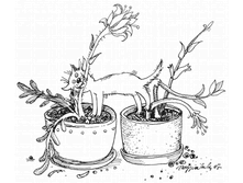 06 ���� ������ ���������, ������ - �������