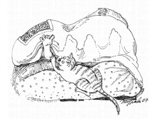 08 ������ ���� ������ ������