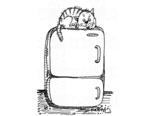 13 ������� �� ���� � ������������