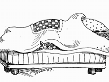 15 ������� ��� �������