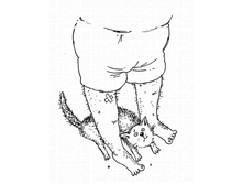 16 ��������, ����� �� ����